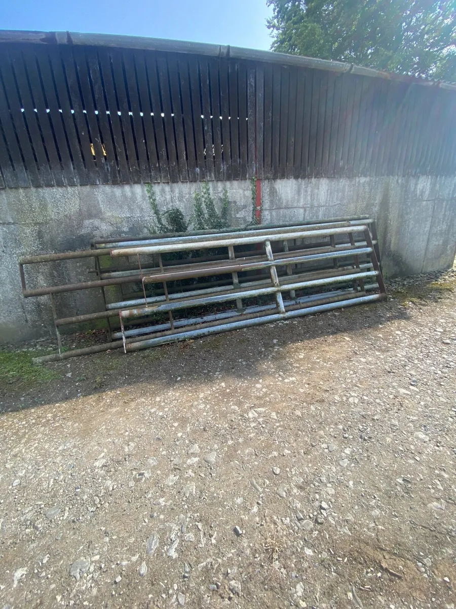 Heavy duty gates