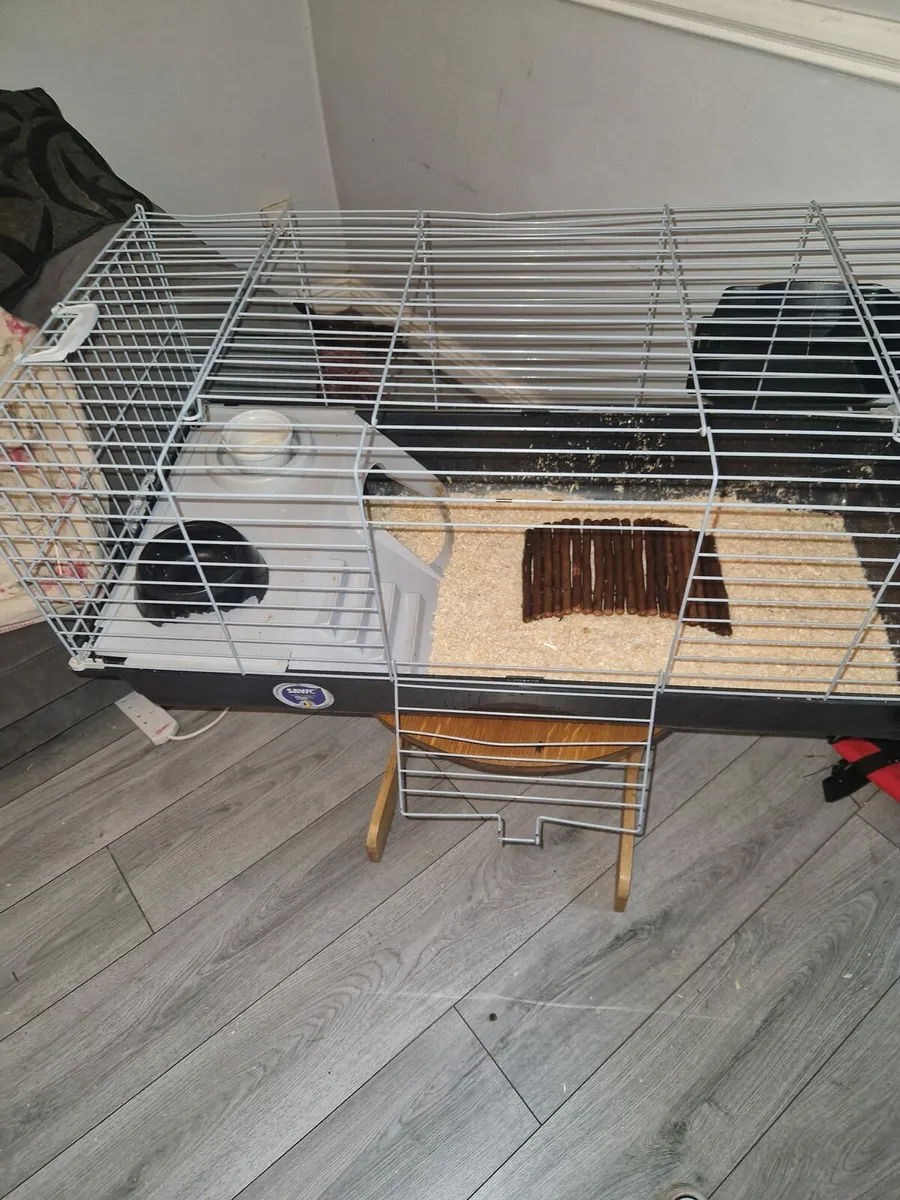 Full size small animal cage - Image 1