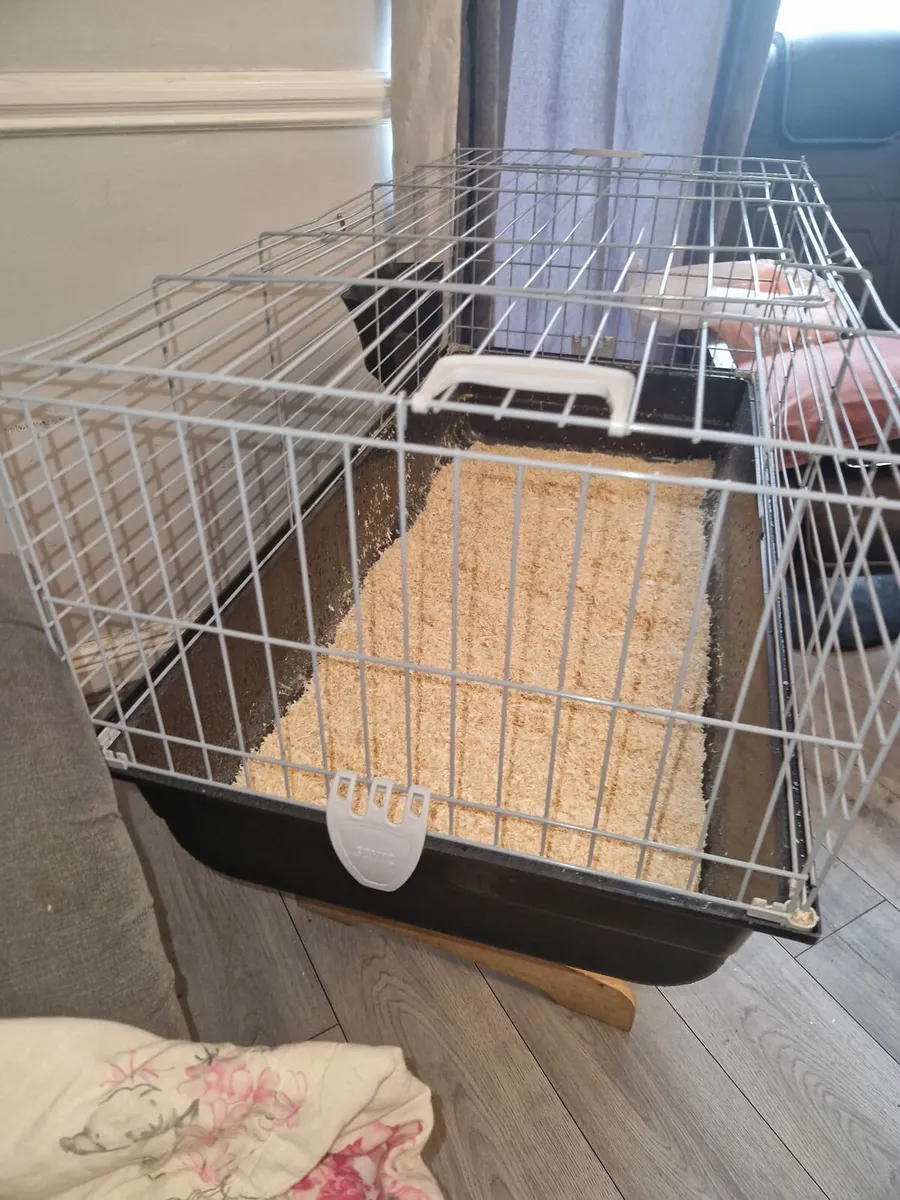 Full size small animal cage - Image 2