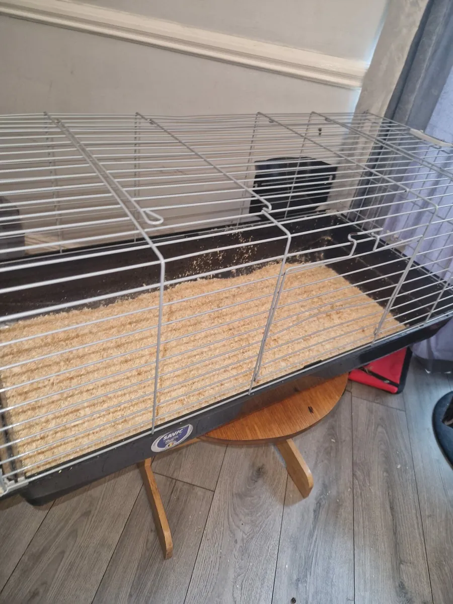 Full size small animal cage - Image 3