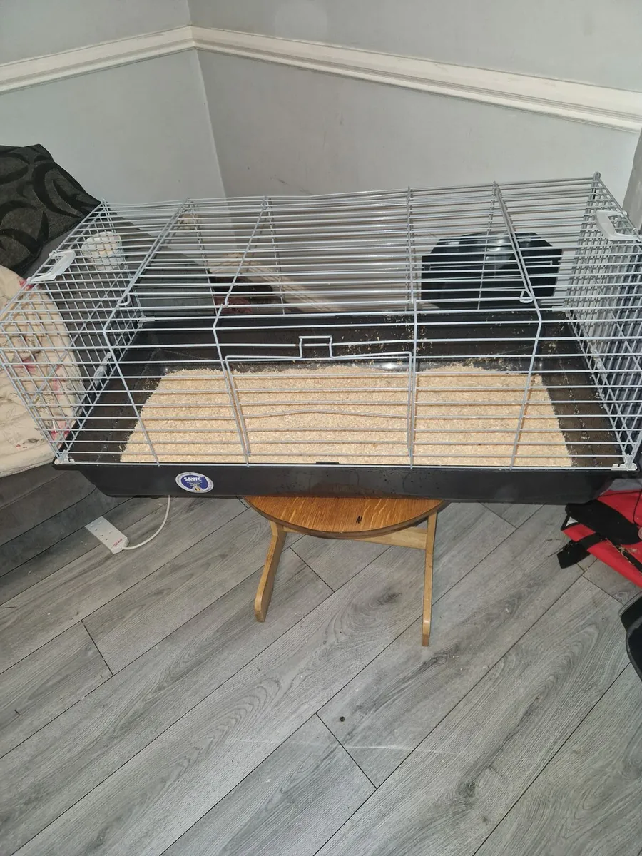 Full size small animal cage - Image 4