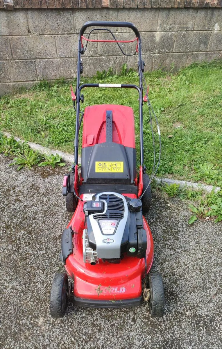 Lawnmower & Strimmer - Image 1