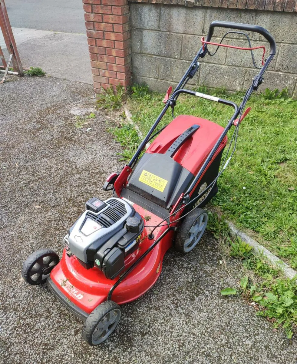 Lawnmower & Strimmer - Image 2