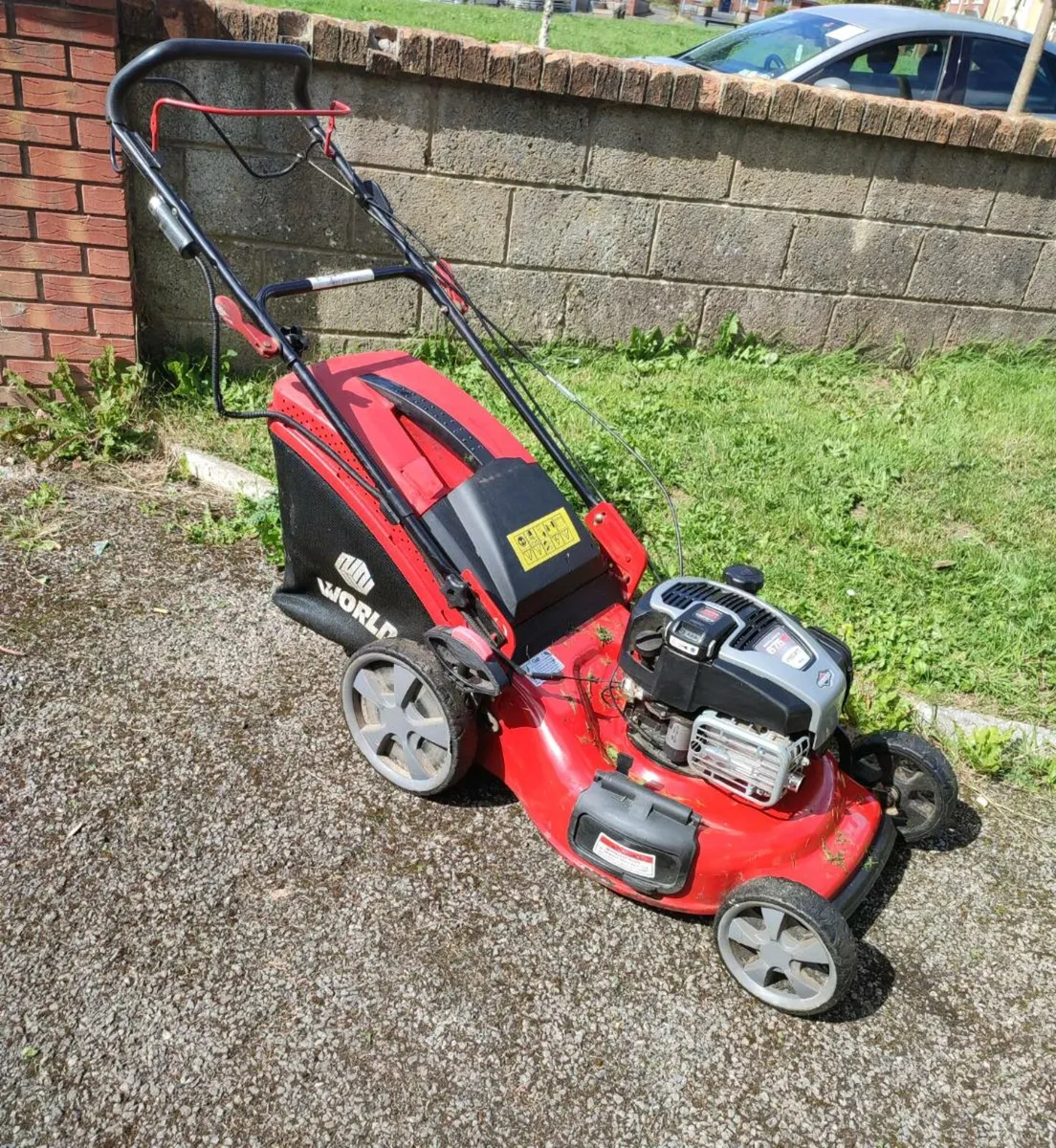 Lawnmower & Strimmer - Image 3