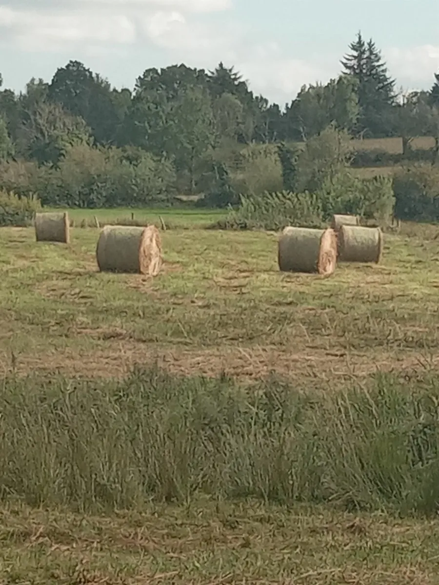 Field Bedding - Image 1