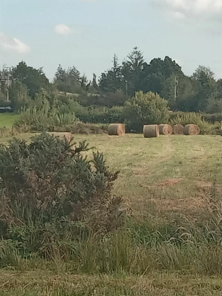 Field Bedding - Image 2