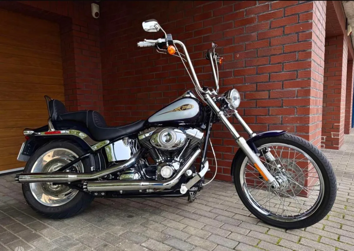 Harley Davidson  Softail  🖤 - Image 2