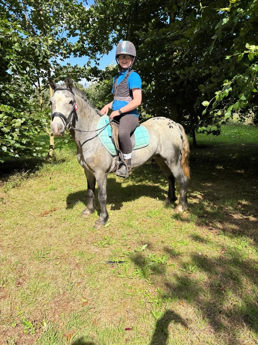 Children’s 128 pony - Image 2