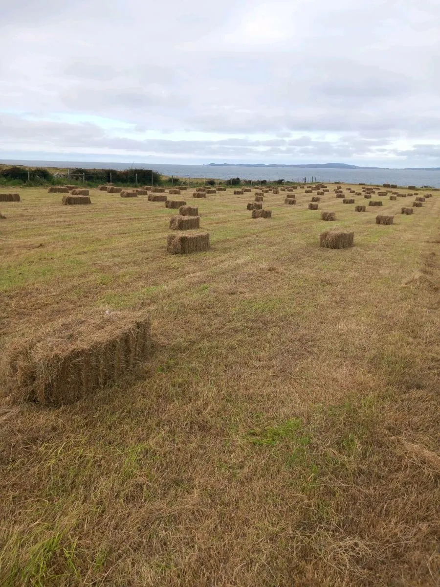 Small bales of hay