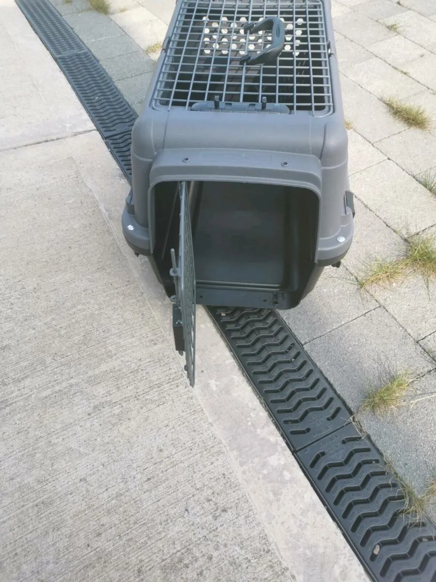 For sale pet Transport Box - Image 1
