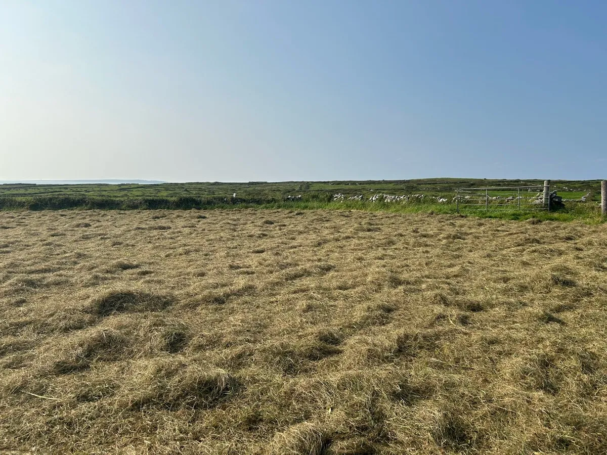 Doolin Hay square bales - Image 2