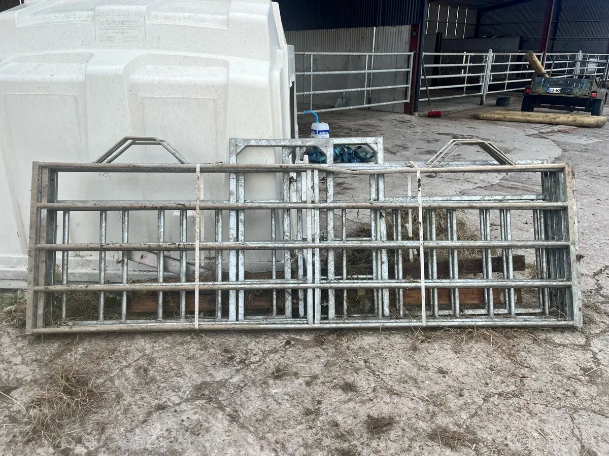 Calf pens/huts - Image 2