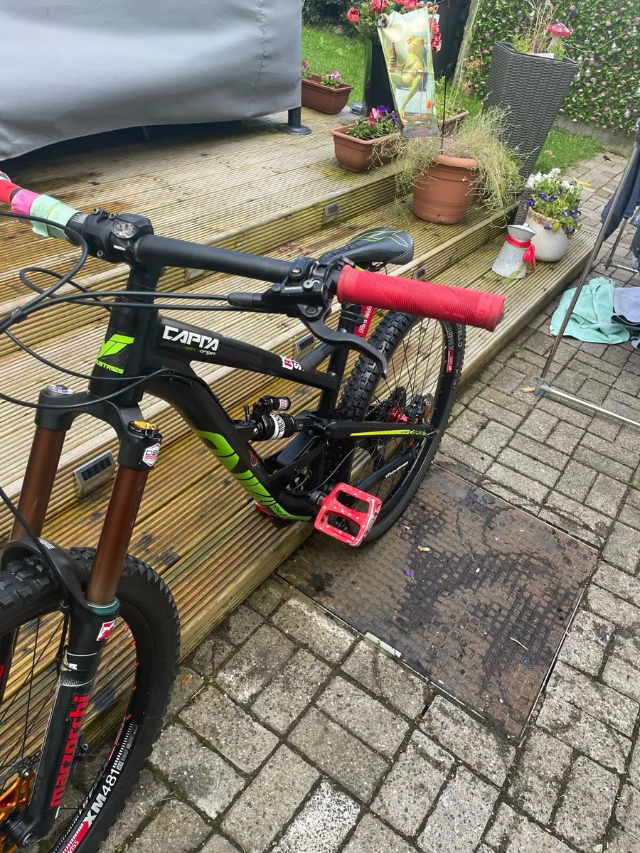 YT Capra - Image 2