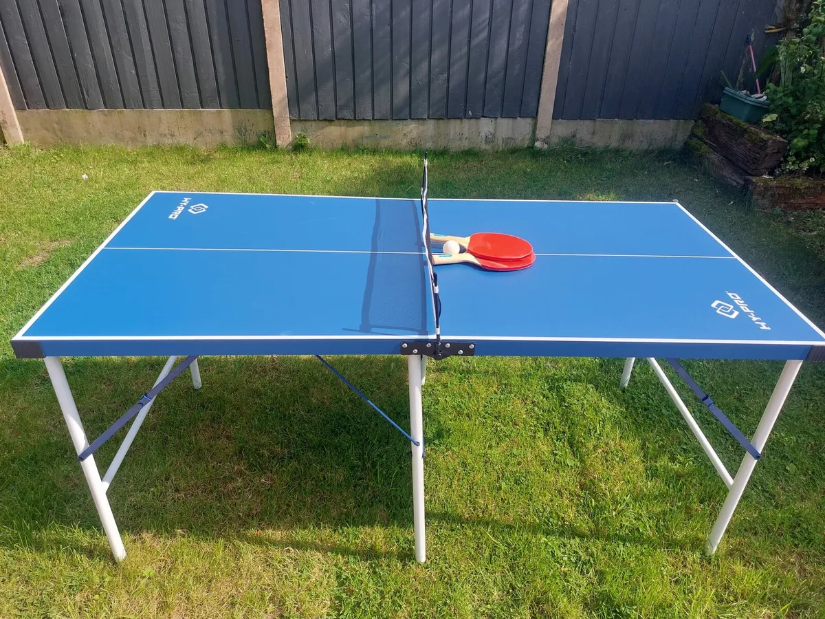 Ping Pong table - Image 1