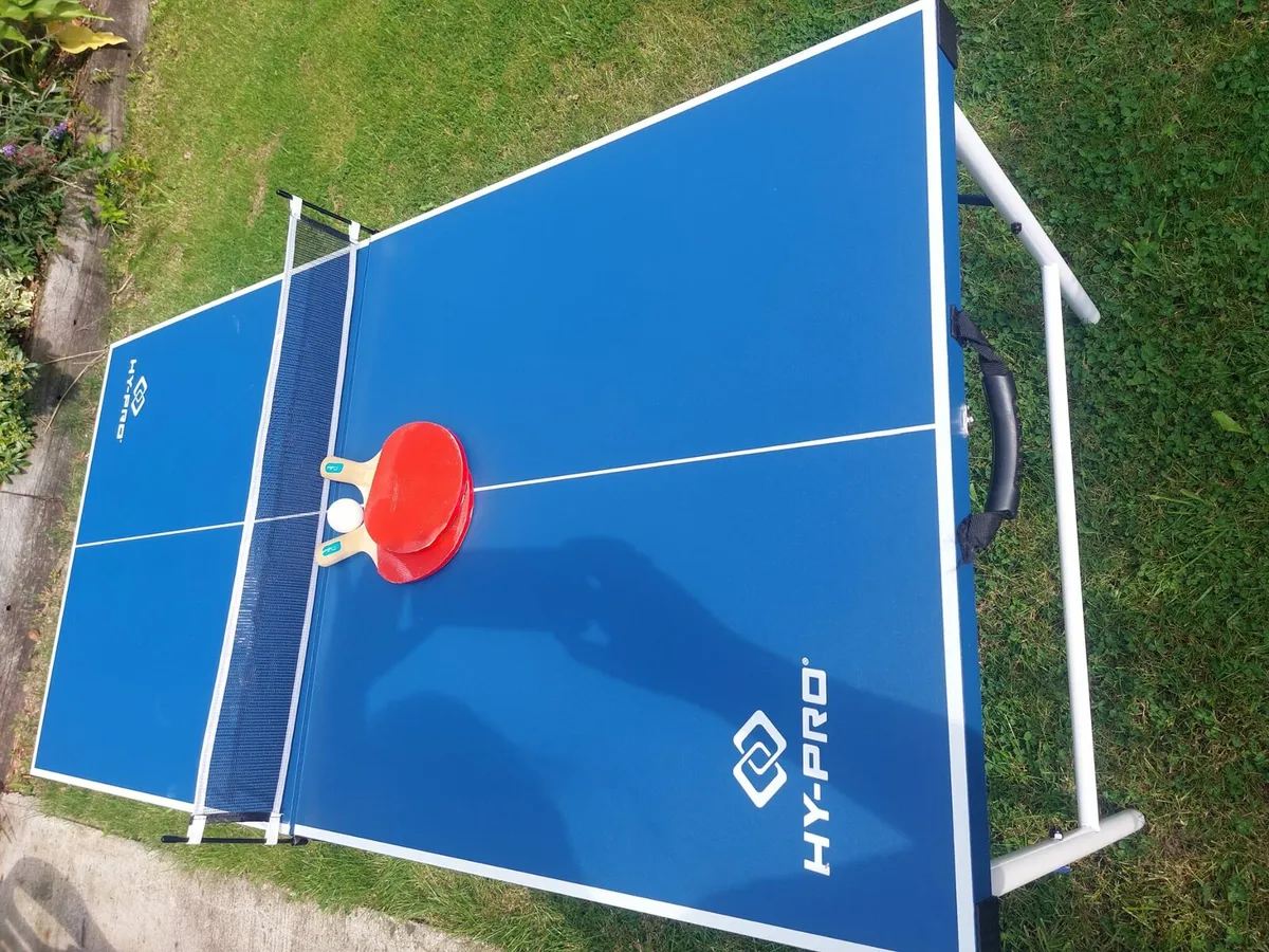Ping Pong table - Image 2