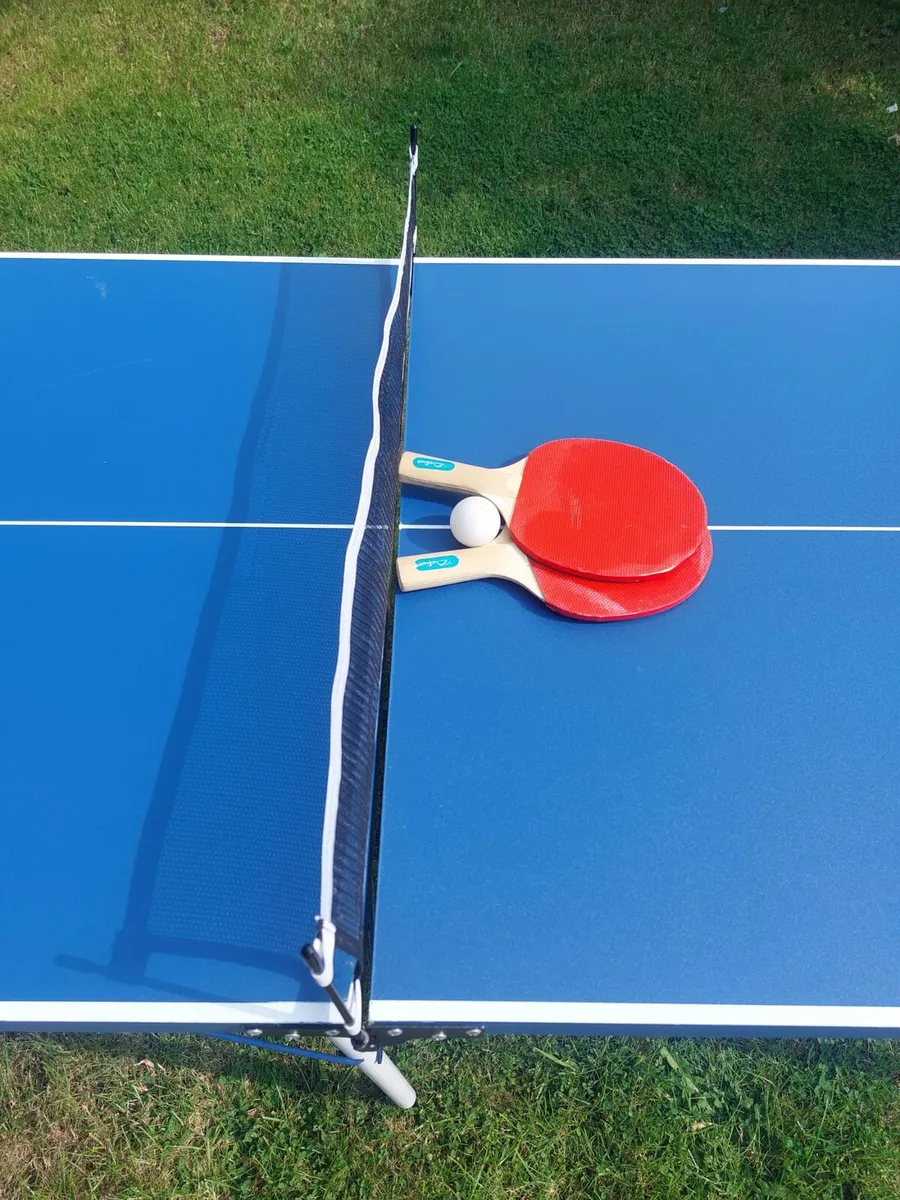 Ping Pong table - Image 3