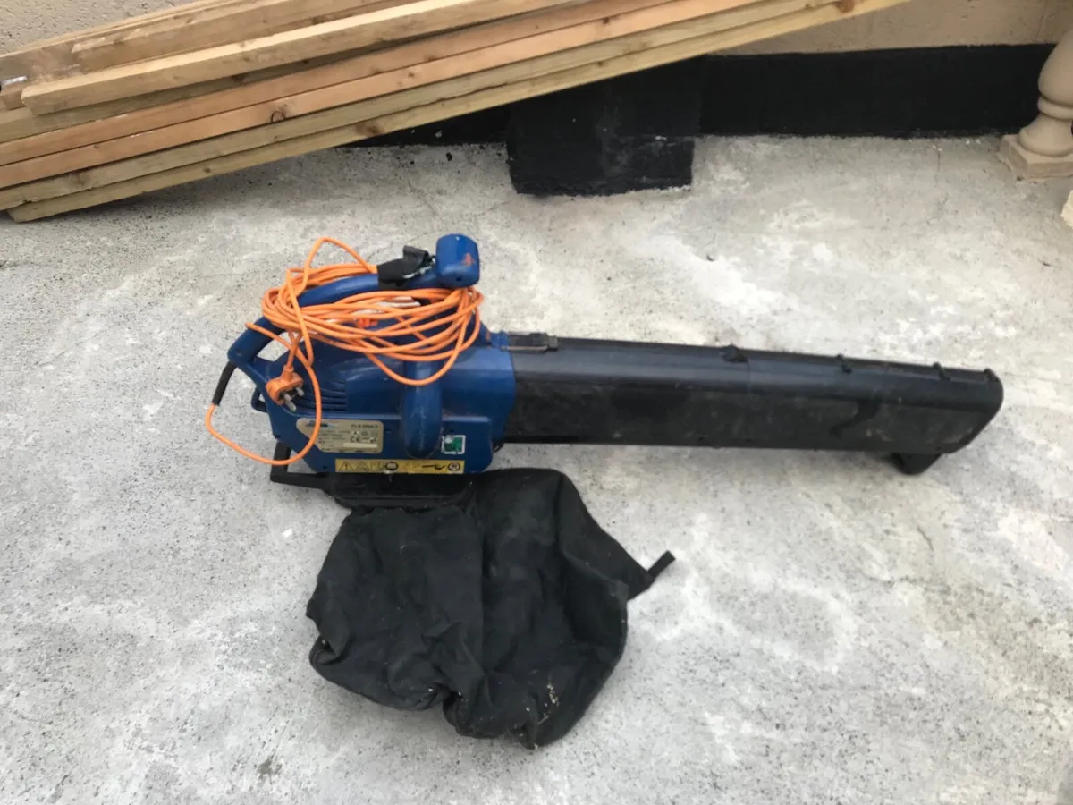 2in1 electric Leaf blower/Hoover - Image 1