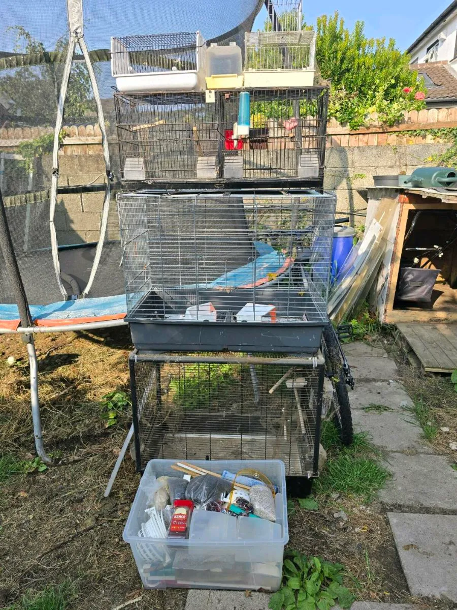 Cages - Image 3