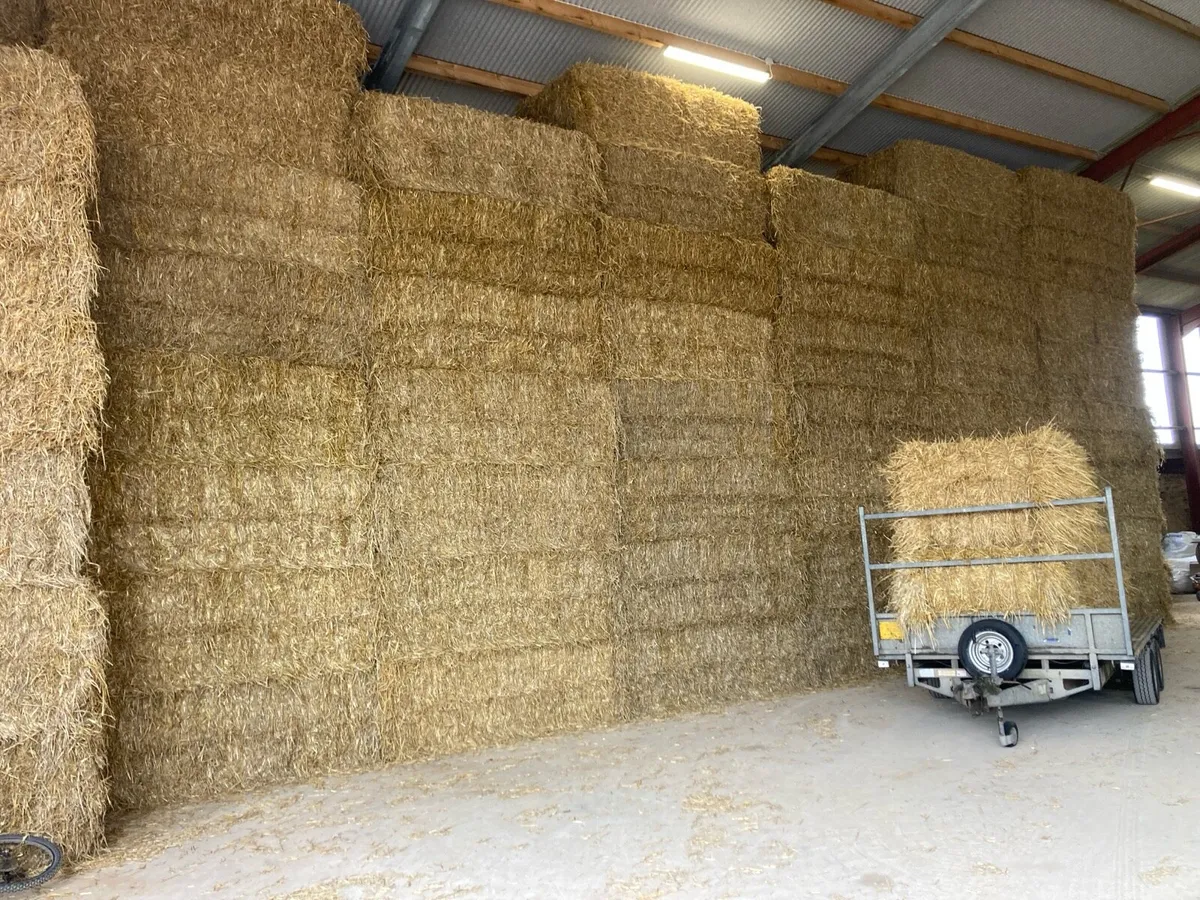 Barley and wheat straw - Image 2