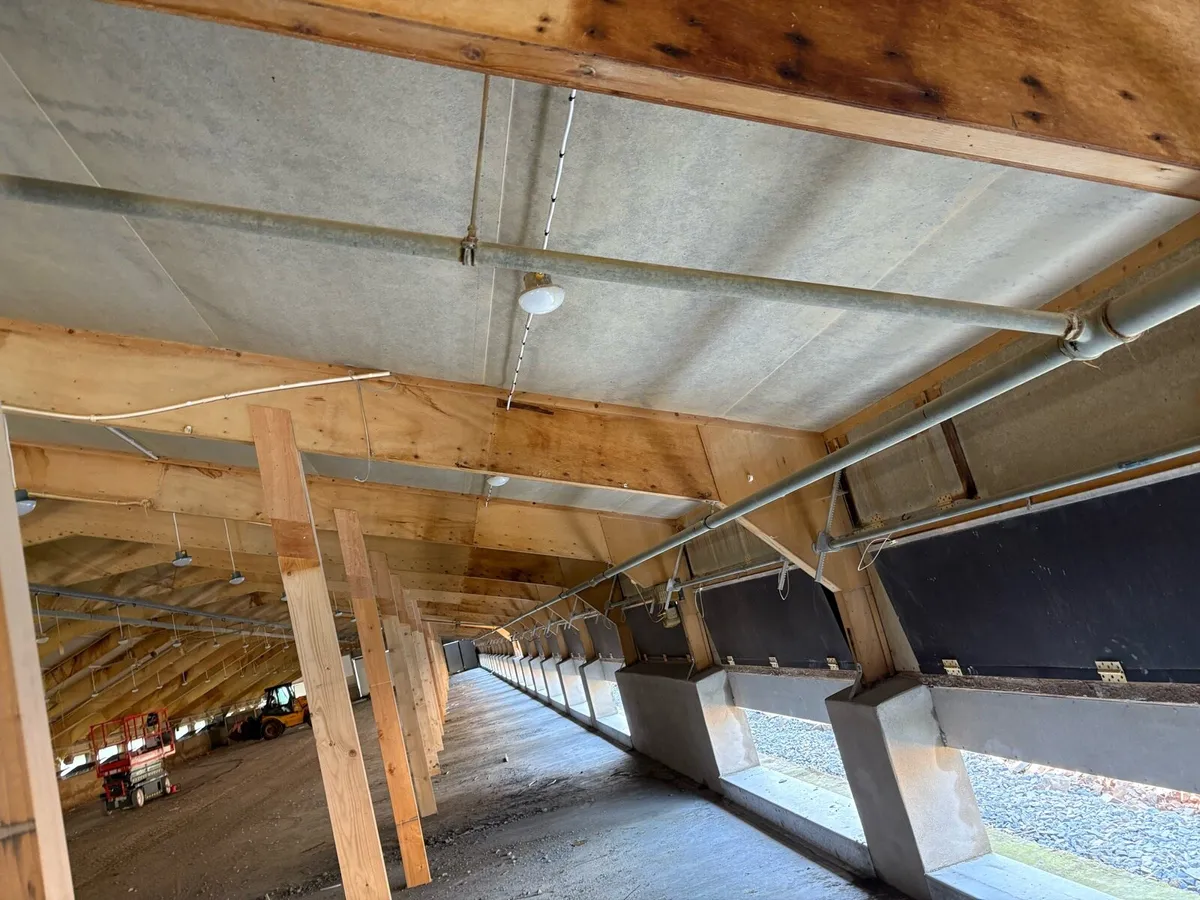 1000Ft Industrial Hot Water pipes - Image 2