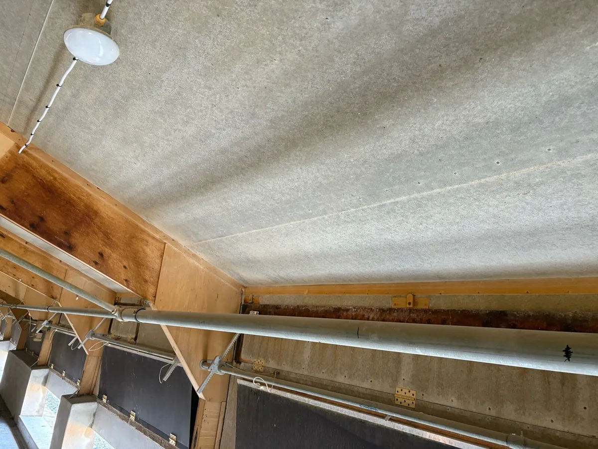 1000Ft Industrial Hot Water pipes - Image 3