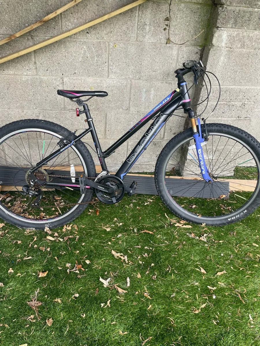 Girls Bike - Image 1