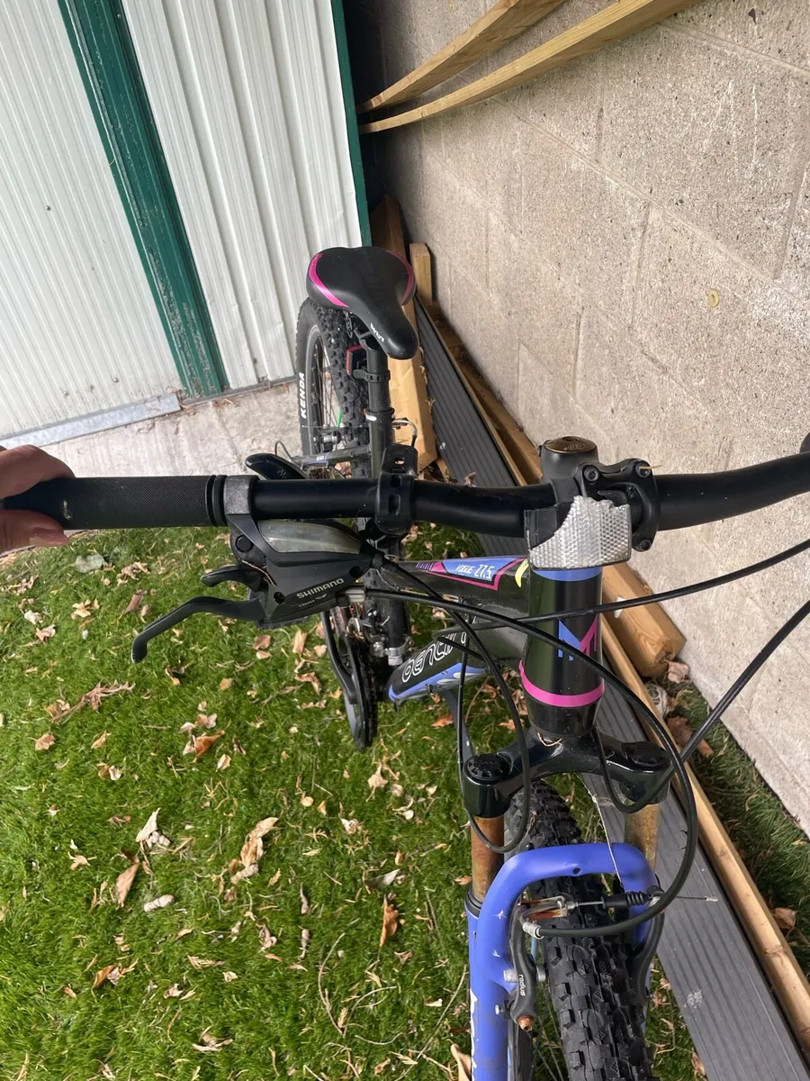 Girls Bike - Image 2