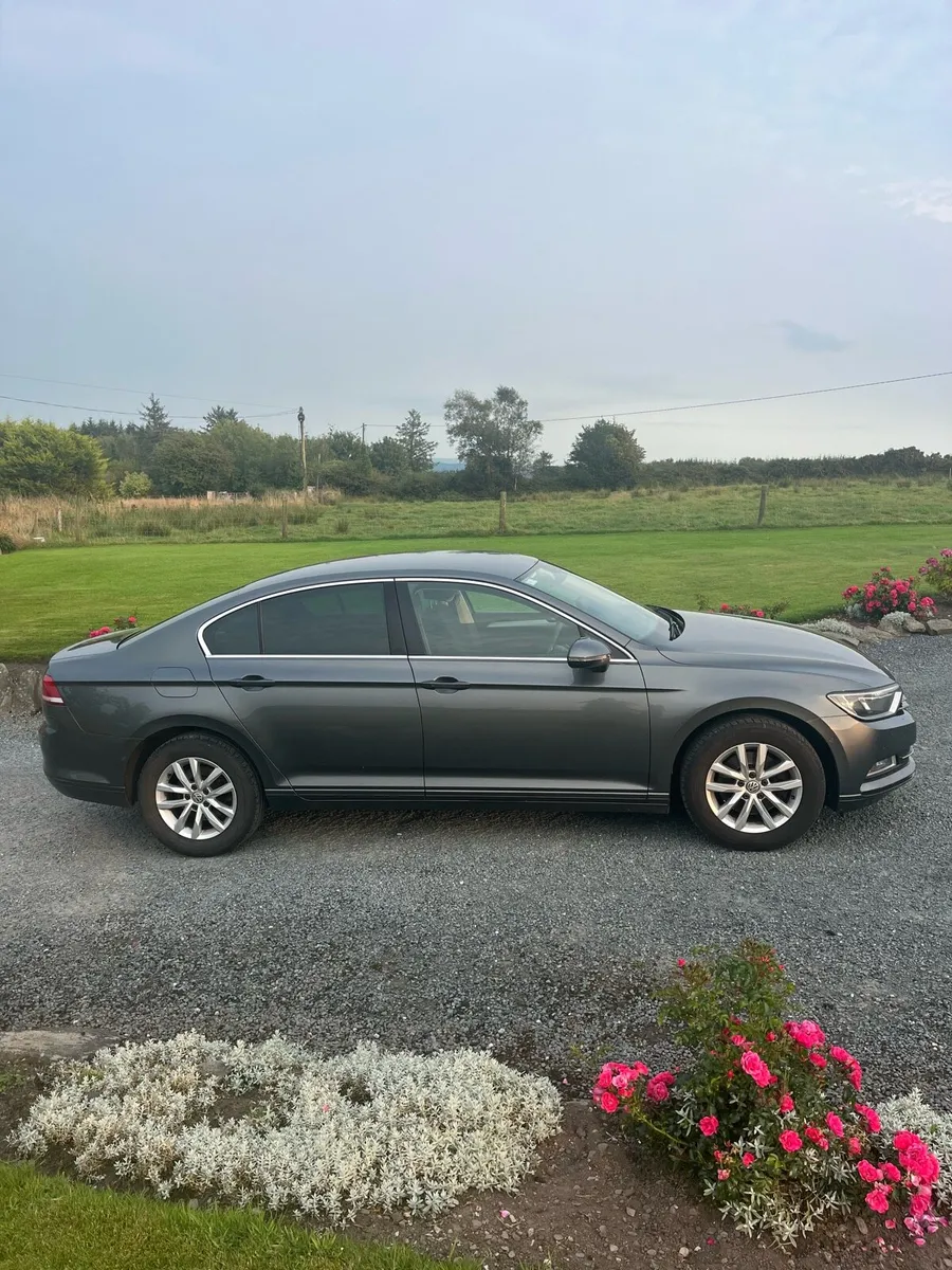161 VW Passat - Image 4