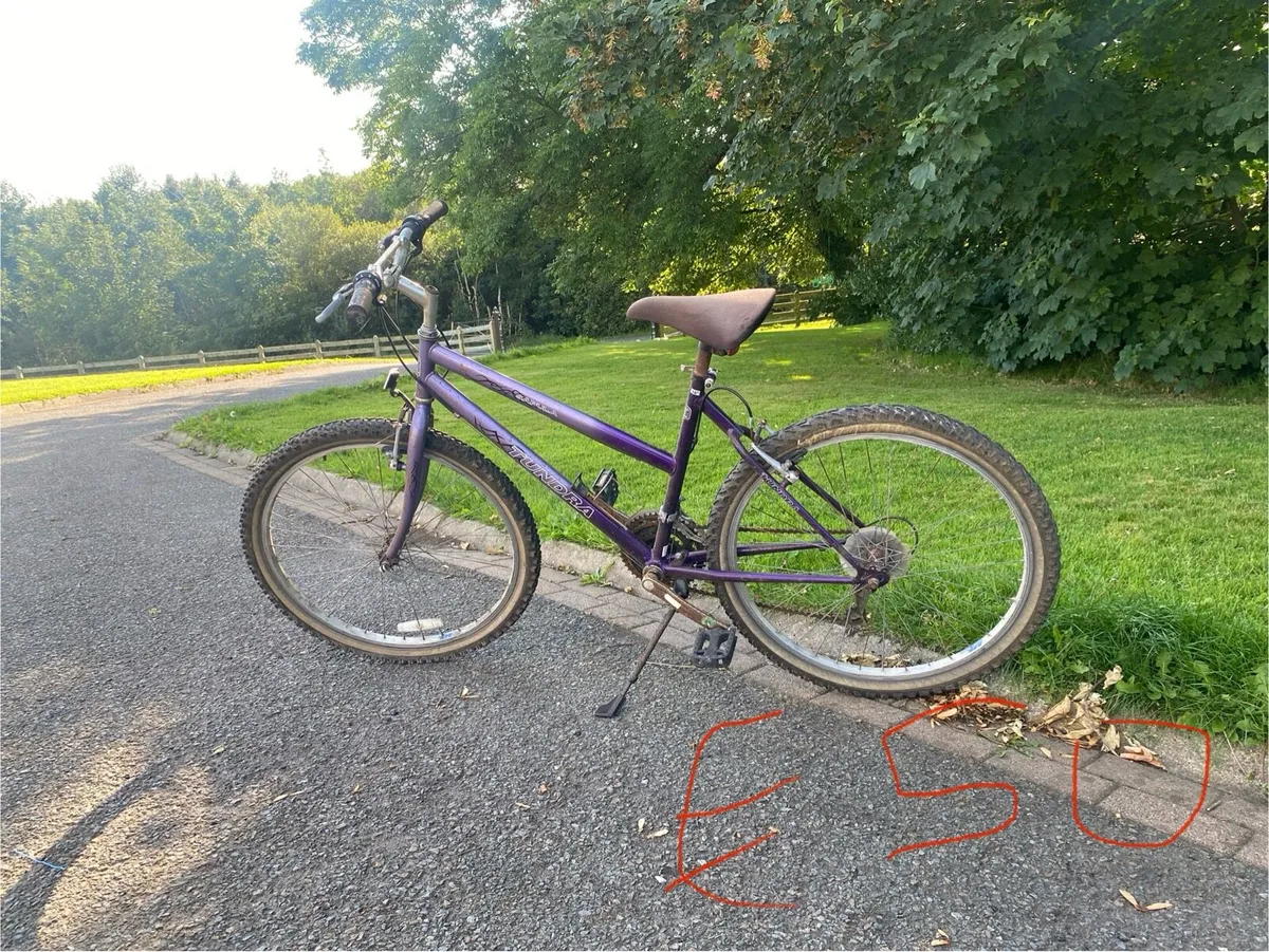 Bicycle - Image 3