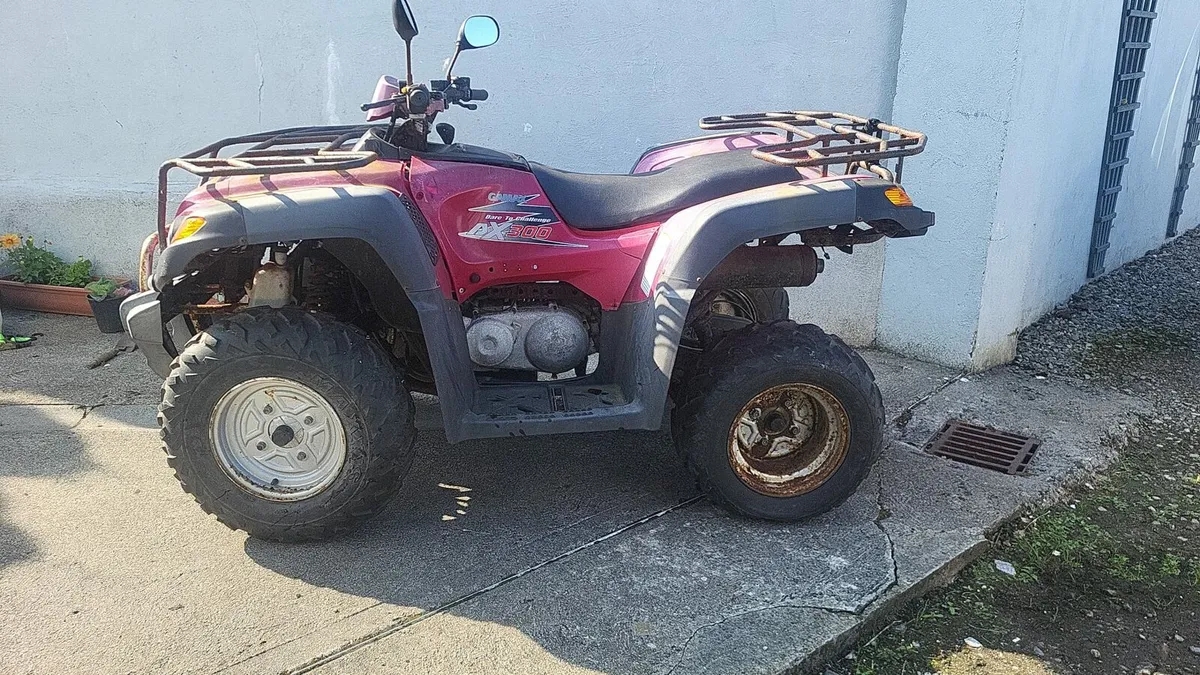 Gamax AX 300 Quad - Image 1