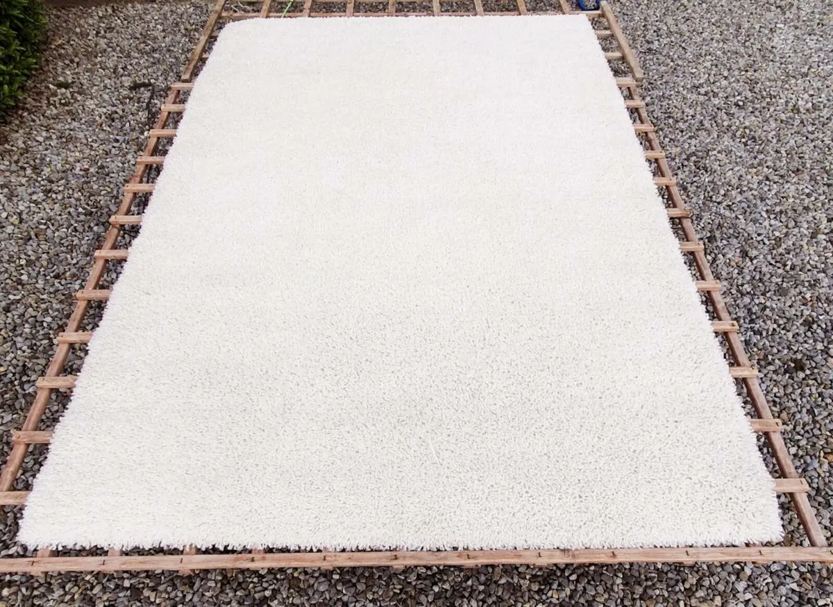 Rug