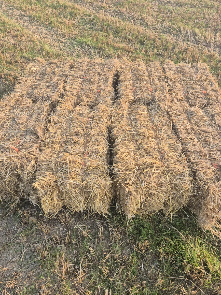 Small square and 4x4 bales straw for sale - Image 1