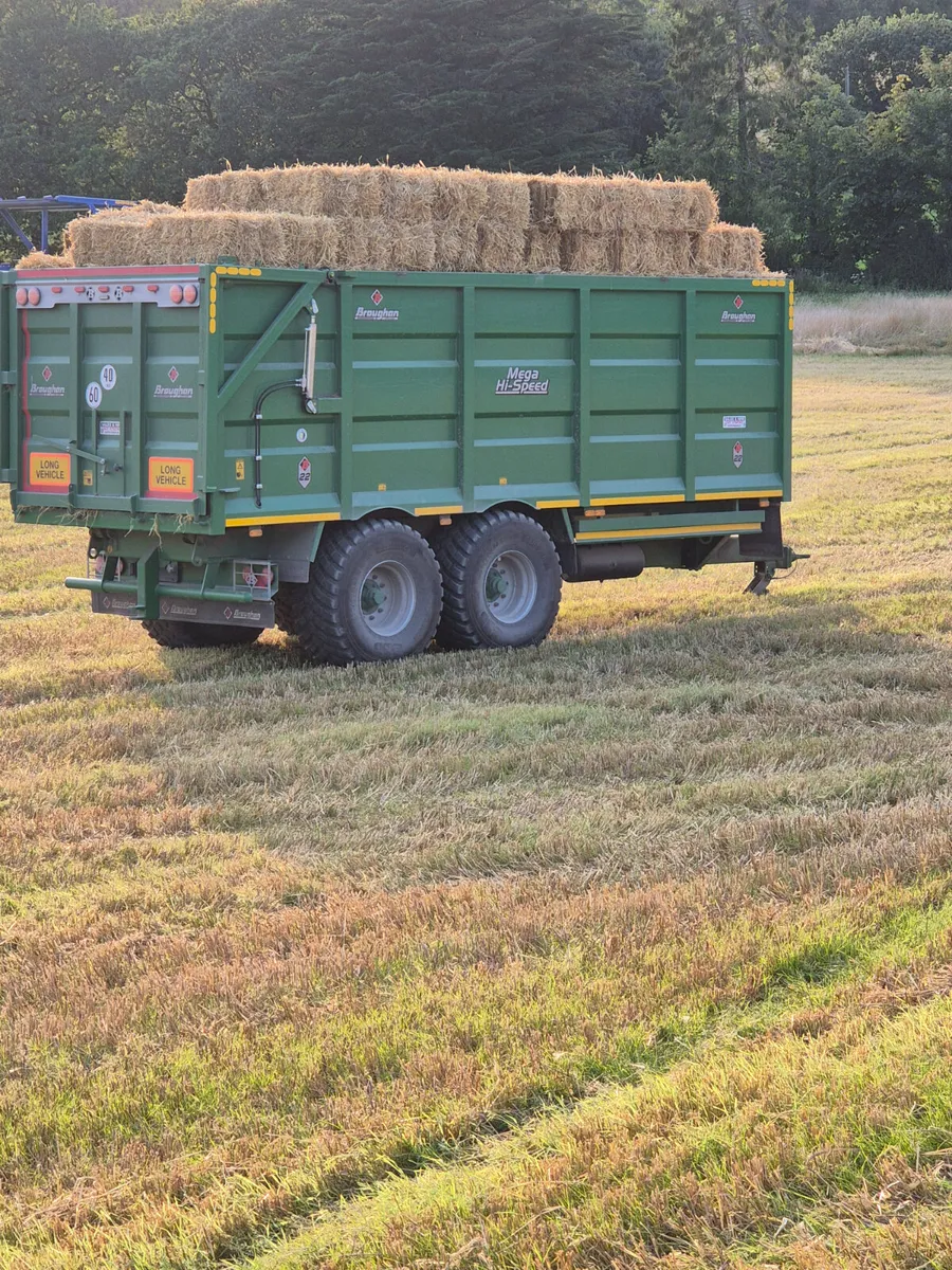 Small square and 4x4 bales straw for sale - Image 3