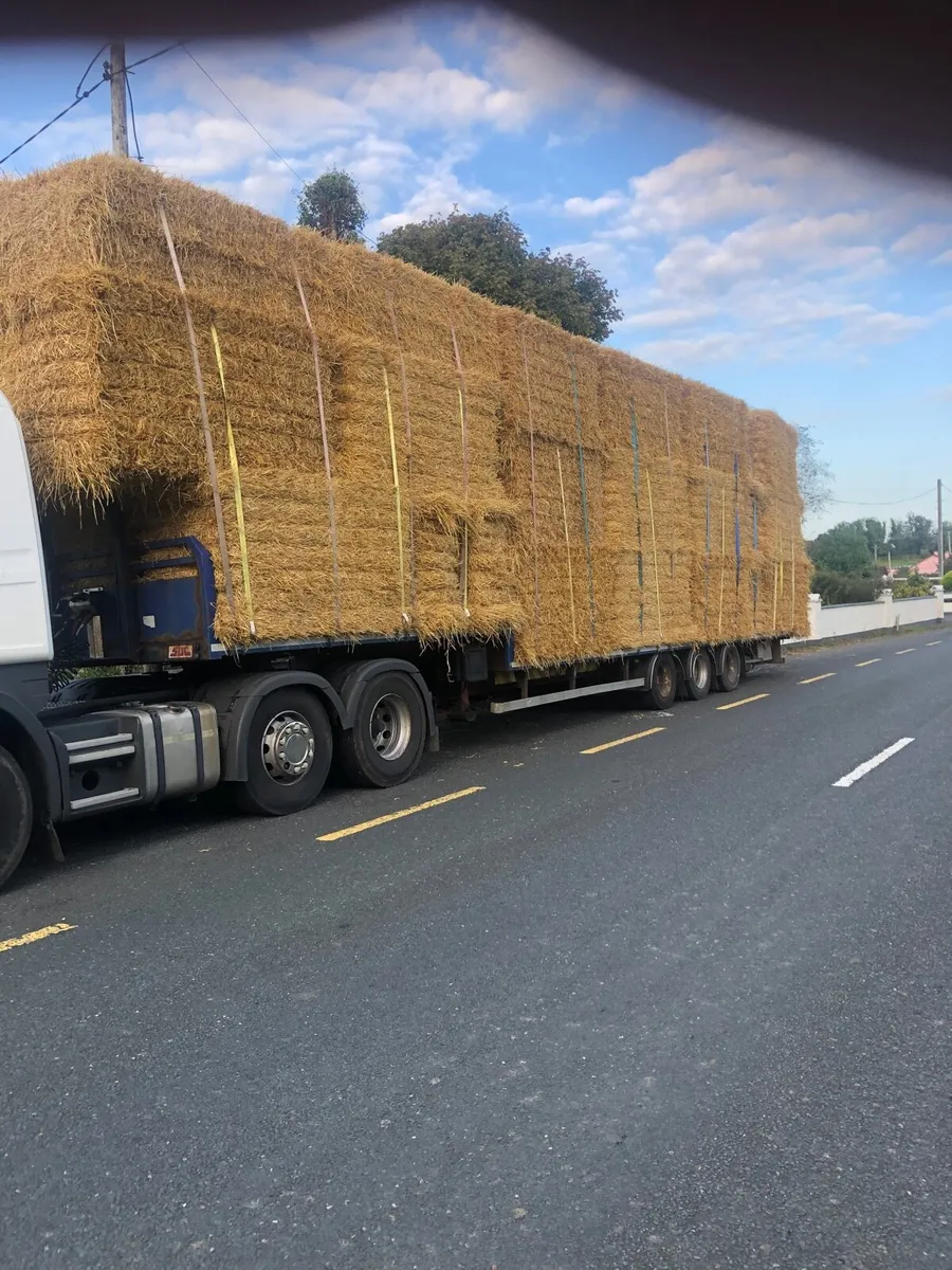 Straw - Image 1