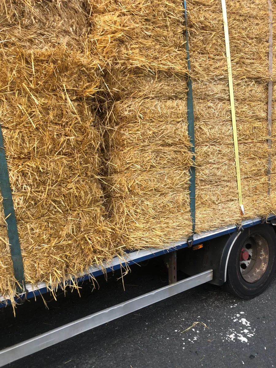 Straw - Image 2