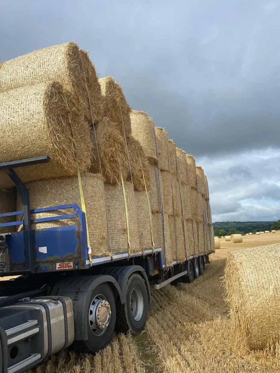 Straw - Image 4