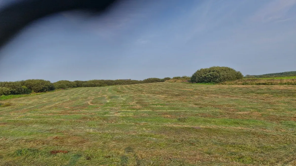 Free Silage - Image 1