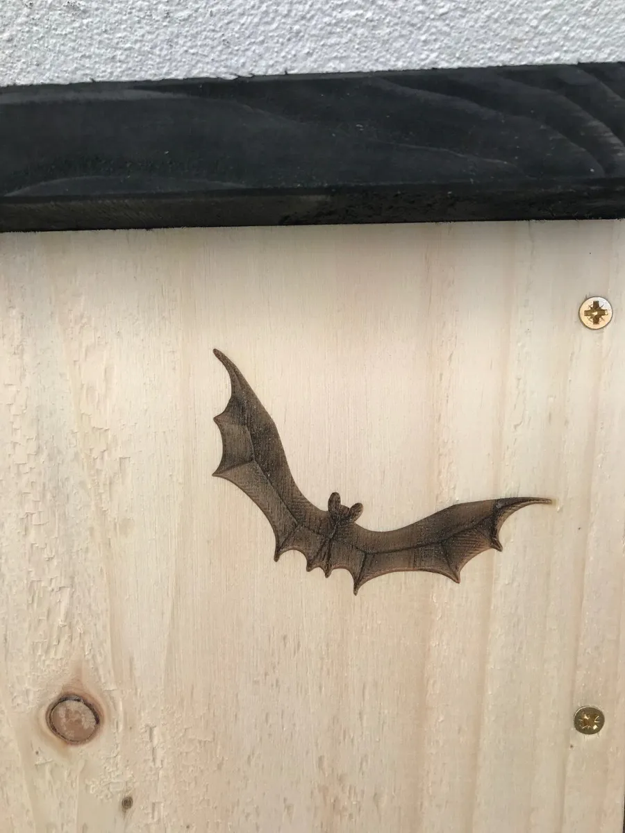 Bat boxes - Image 2
