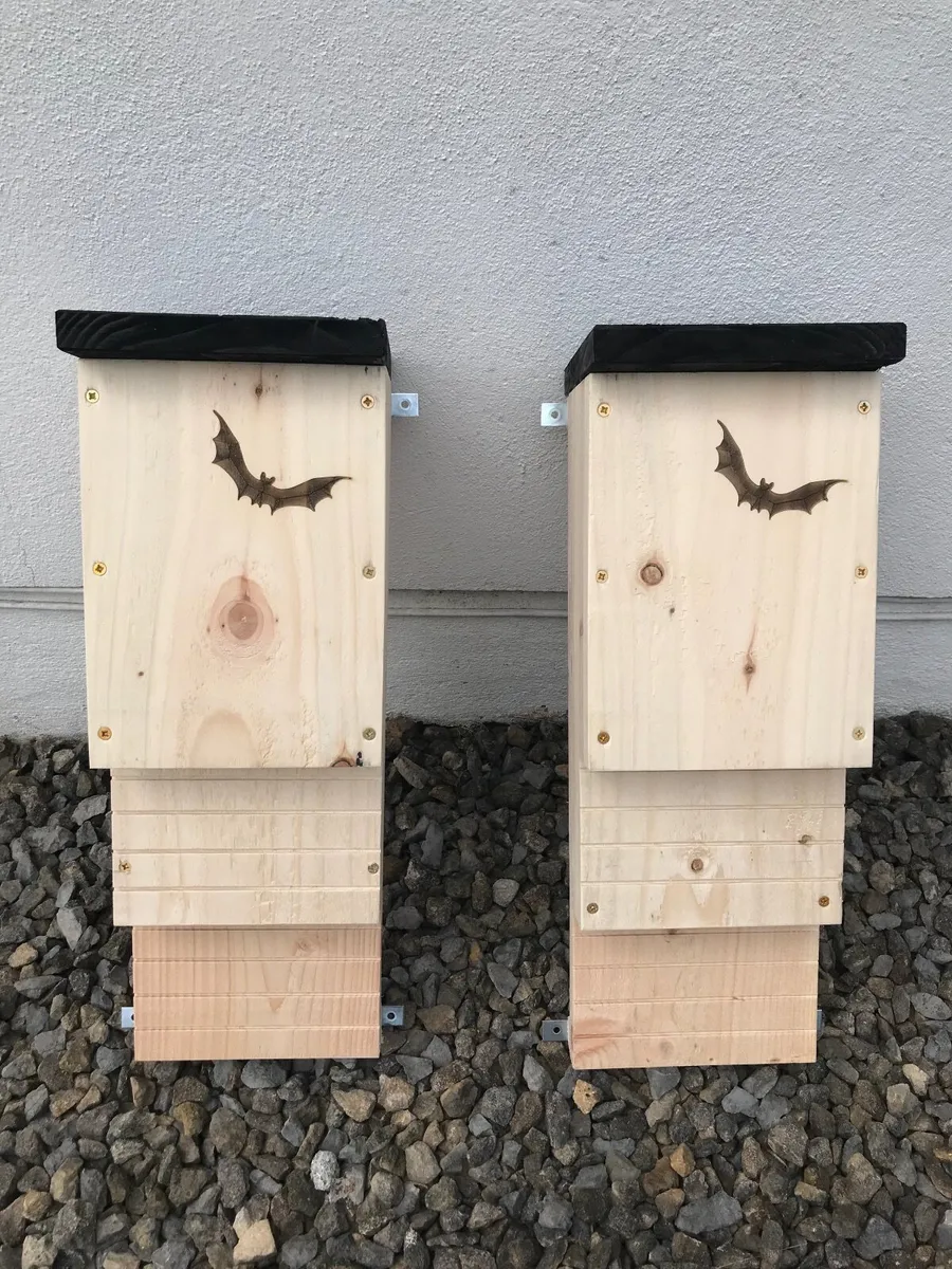 Bat boxes - Image 1