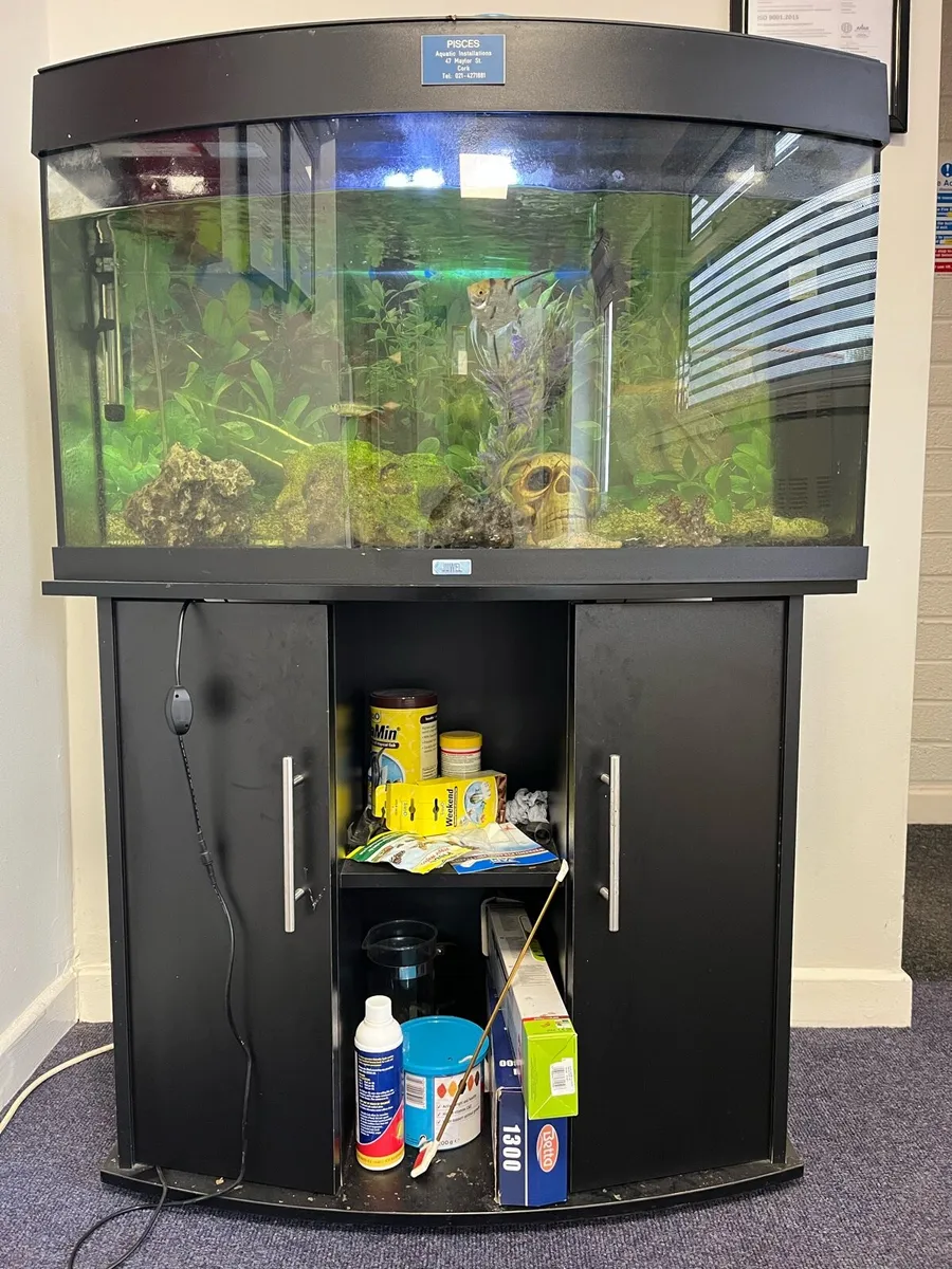 Fish tank, Aquarium - Image 2