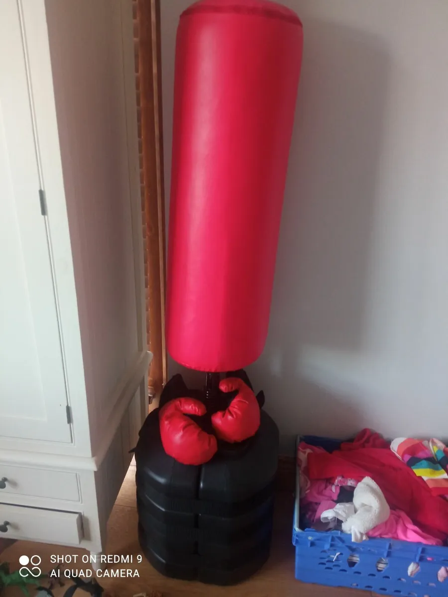 Punch bag & gloves - Image 1