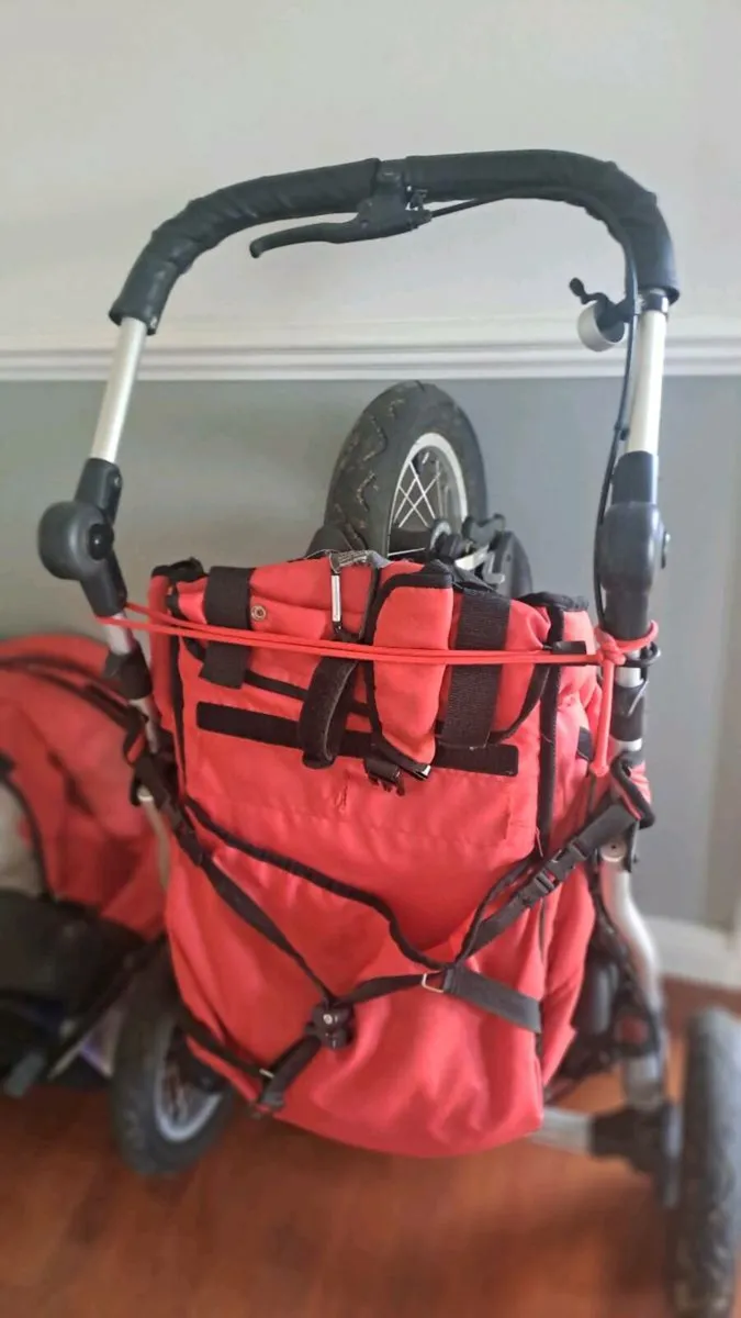 Buggy - Image 1