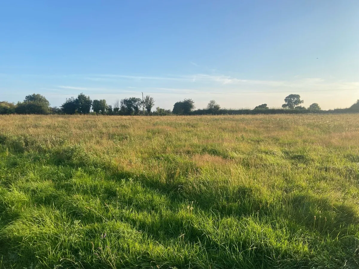 Silage Bales - Image 1