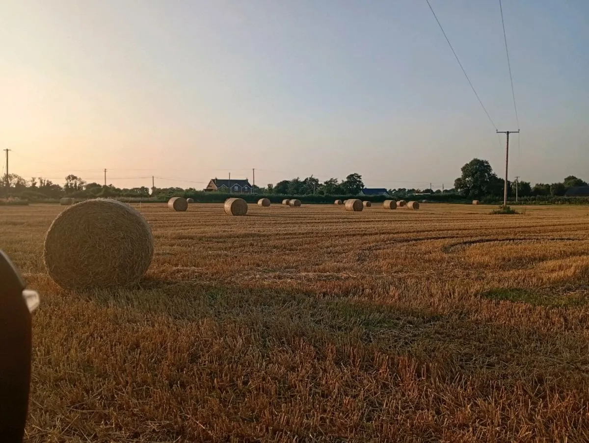 Straw - Image 2