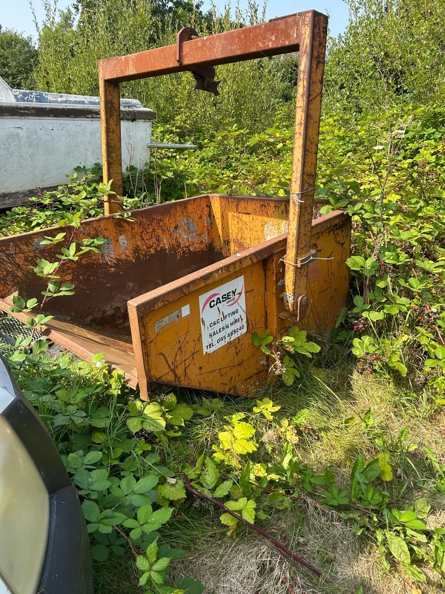 Tipping boat skip - Image 1
