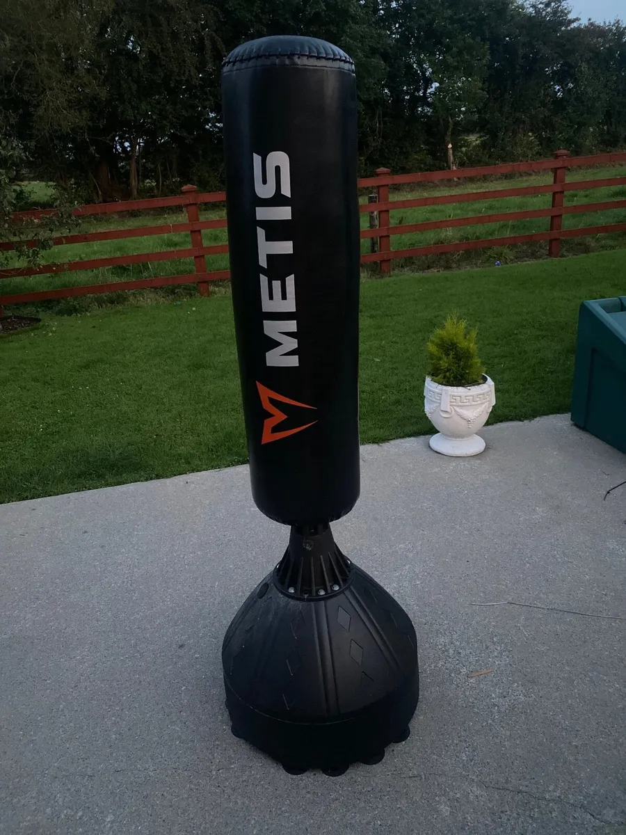 Free standing punchbag - Image 1