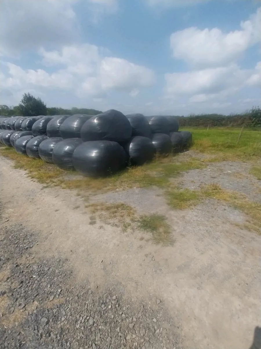 Silage for sale - Image 1