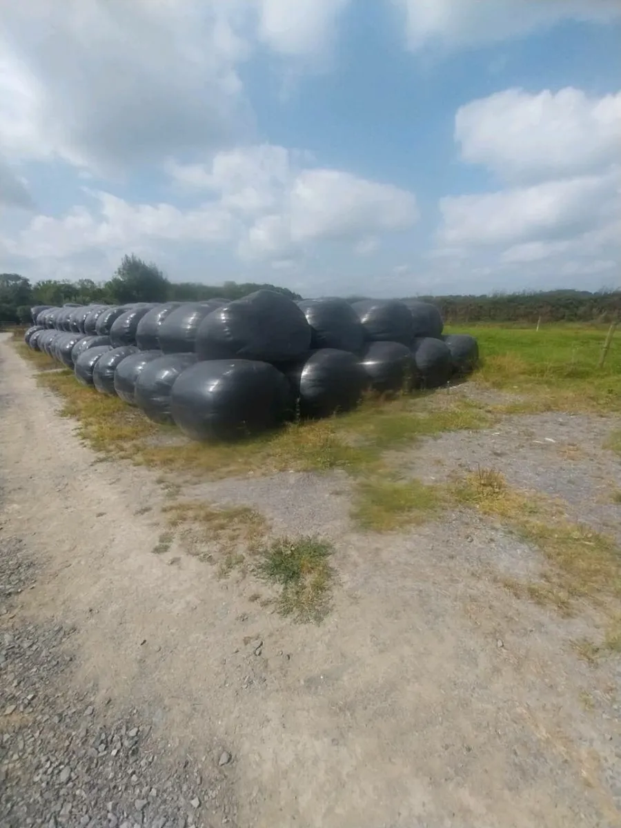 Silage for sale - Image 2