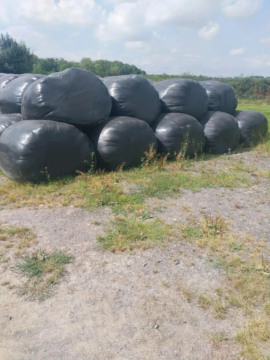 Silage for sale - Image 3