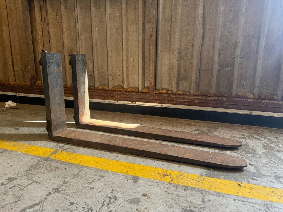 Pallet forks - Image 1